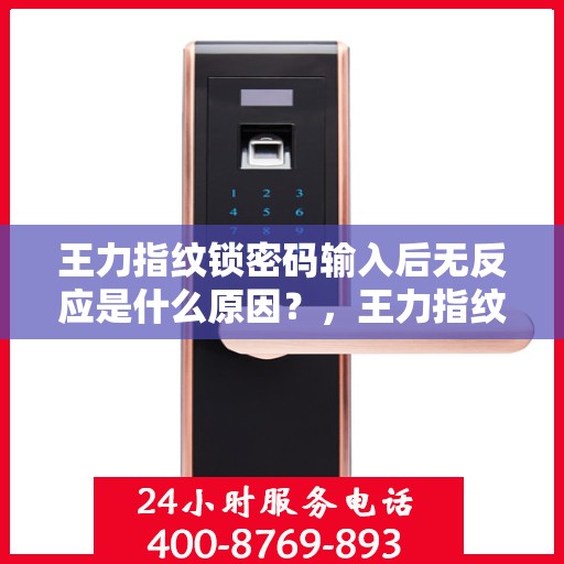 王力指纹锁密码输入后无反应是什么原因？，王力指纹锁无法识别密码可能的原因及解决方法