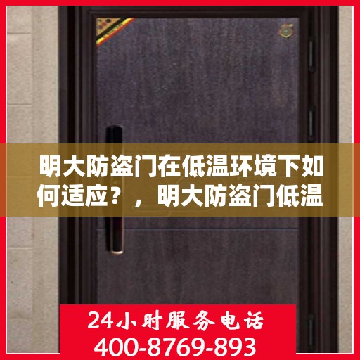 明大防盗门在低温环境下如何适应？，明大防盗门低温环境下的性能适应之道