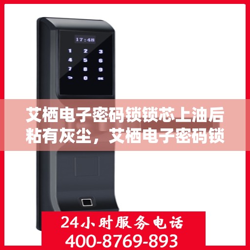 艾栖电子密码锁锁芯上油后粘有灰尘，艾栖电子密码锁锁芯清洁与保养指南，上油后灰尘粘黏问题解析