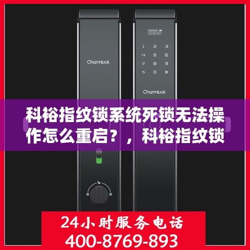 科裕指纹锁系统死锁无法操作怎么重启？，科裕指纹锁系统死锁重启指南，解决操作难题，轻松重启系统！