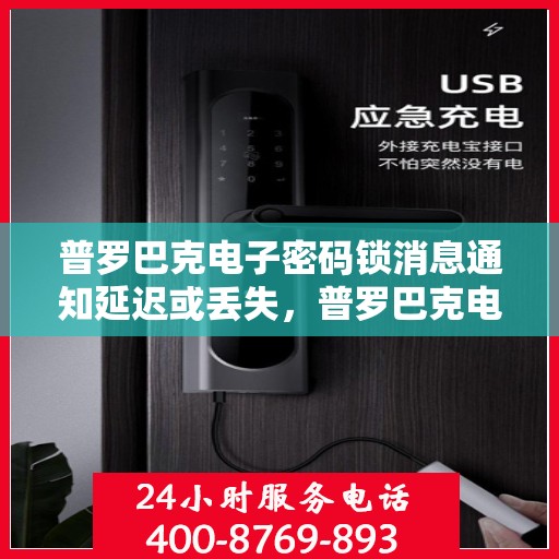 普罗巴克电子密码锁消息通知延迟或丢失，普罗巴克电子密码锁，消息通知延迟或丢失问题解决指南