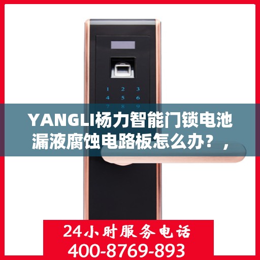 YANGLI杨力智能门锁电池漏液腐蚀电路板怎么办？，杨力智能门锁电池漏液腐蚀电路板应对攻略，专业解决方案来了！