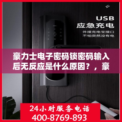 豪力士电子密码锁密码输入后无反应是什么原因？，豪力士电子密码锁密码输入后无反应的可能原因分析